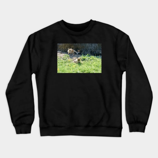 Baby fox Crewneck Sweatshirt by Wolf Art / Swiss Artwork Photography